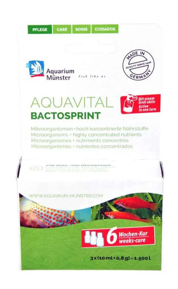 Aquarium Münster Aquavital Bactosprint 3x10 ml + 0.8 g 6-weeks cure