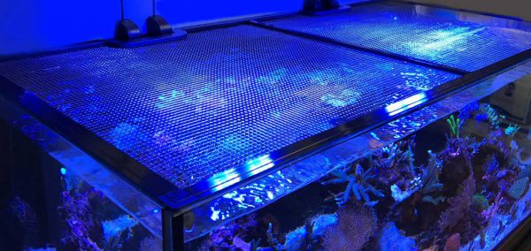 D-D Jumpguard pro Tank Cover 75x75cm