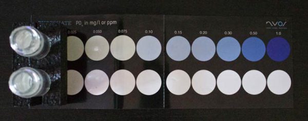 NYOS Phosphate Reefer