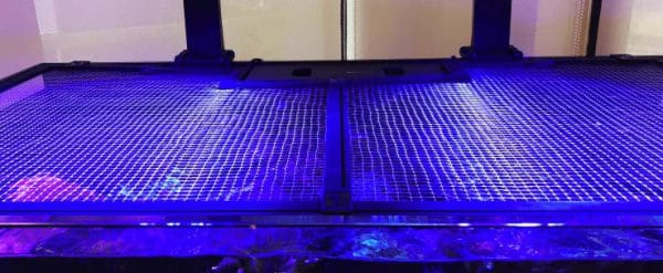 Red SeaTank Net Screen 150 x 80 cm