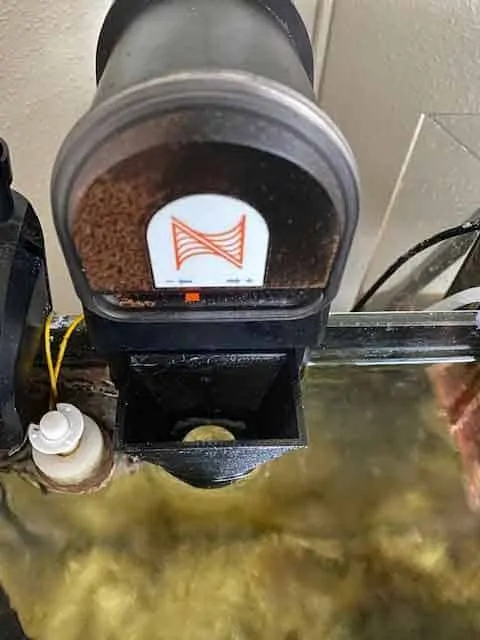 apex automatic feeder