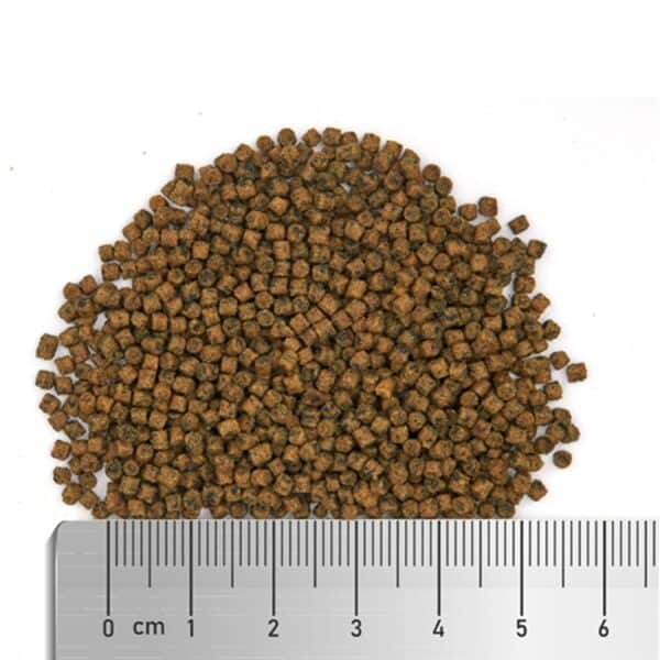 fauna marin soft spirulina L size