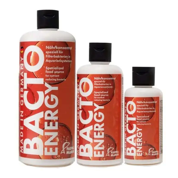 Fauna Marin Bacto Energy