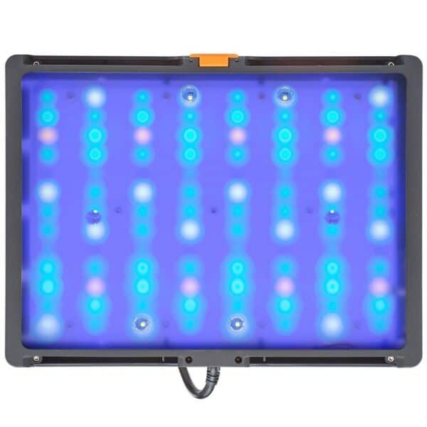 neptune systems sky led bottom