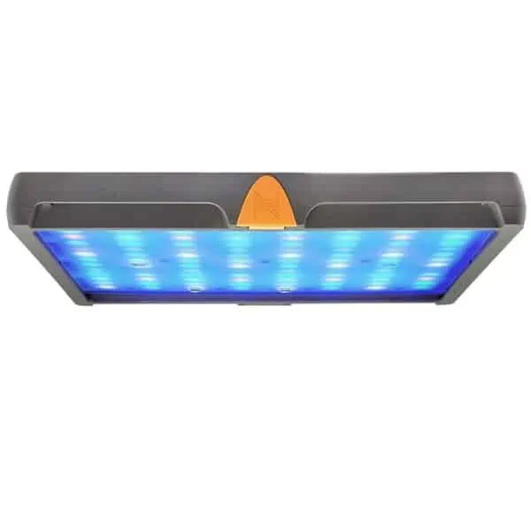 neptune systems sky led light