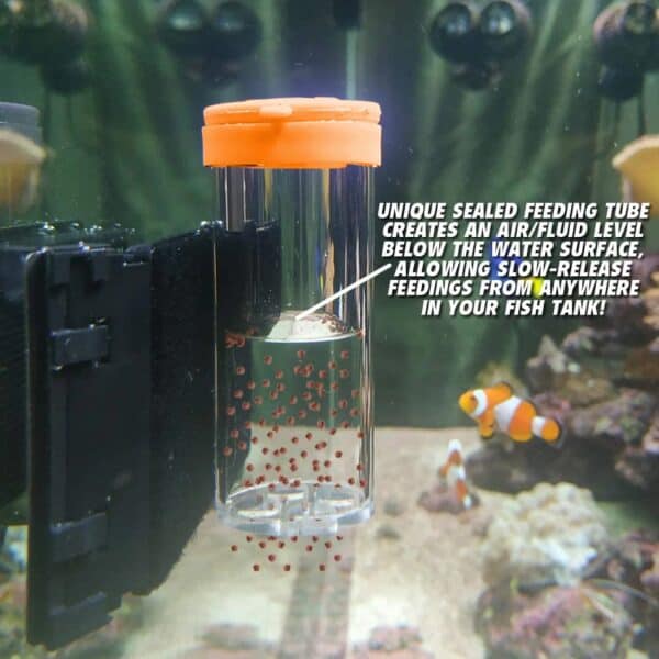 flipper Feeding kit installation
