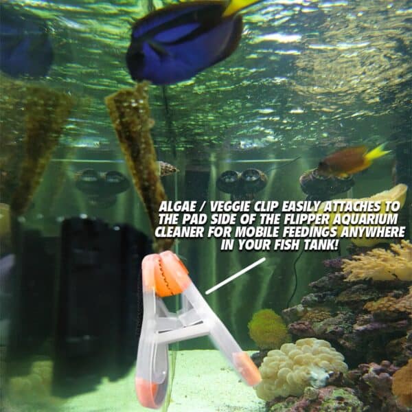 flipper Feeding kit veggie clip