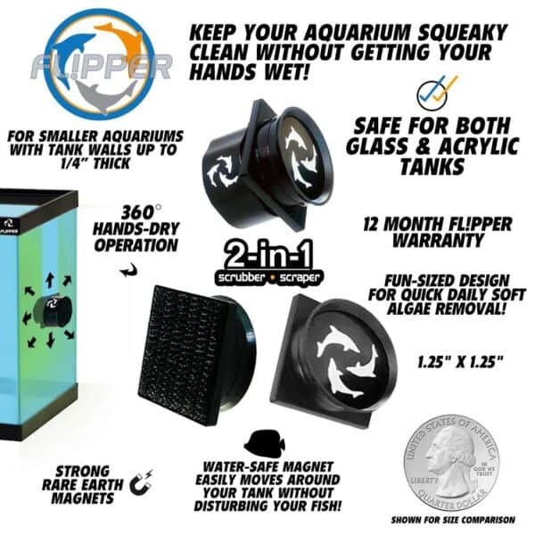 Flipper Pico Black - Algae Cleaner