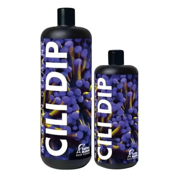 Fauna Marin Cili Dip coral dip