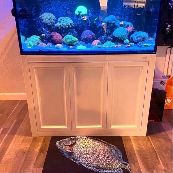 Flipper Aquarium Mat Tang Artwork aquarium