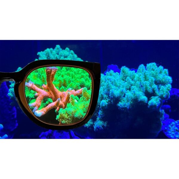 Aqua Medic Coral Glasses view