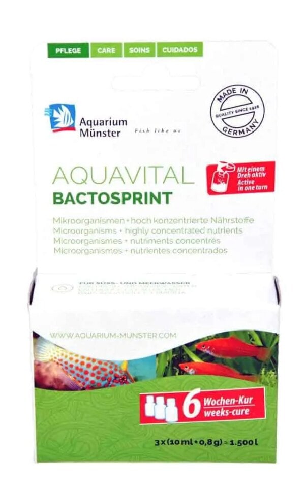 Aquarium Münster Aquavital Bactosprint 3x10 ml + 0.8 g 6-weeks cure