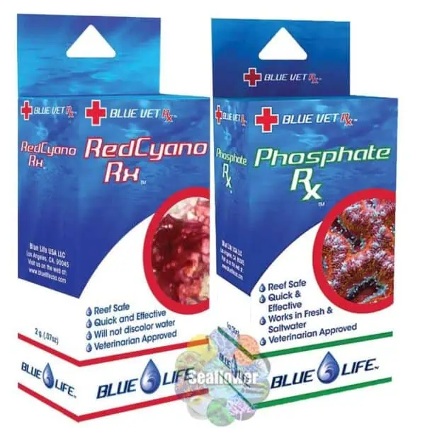 Blue life Combo Pack Red Cyano RX & Phosphate RX