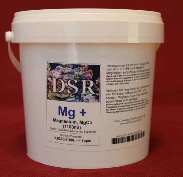 DSR mg+