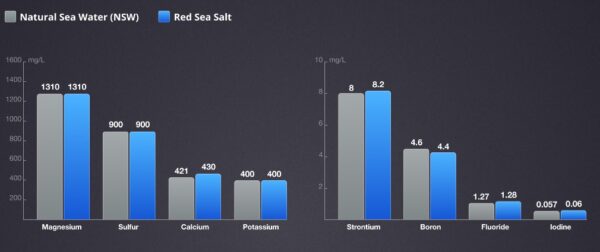 red sea salt compare