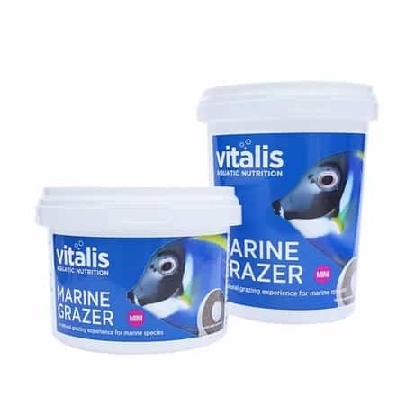 Marine Grazer Vitalis