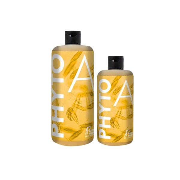Fauna Marin Phyto A