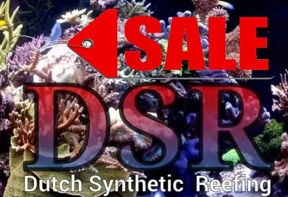 dsr sale